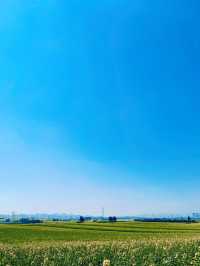 6天暢遊紅河-曲靖 超全攻略助你避坑不踩雷