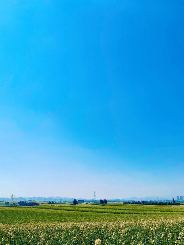 6天暢遊紅河-曲靖 超全攻略助你避坑不踩雷