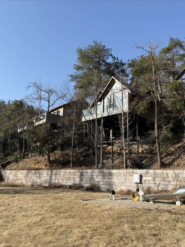 天姥隱的春天 住進童話裡的森林小木屋