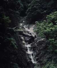 春節後安吉靈峰山