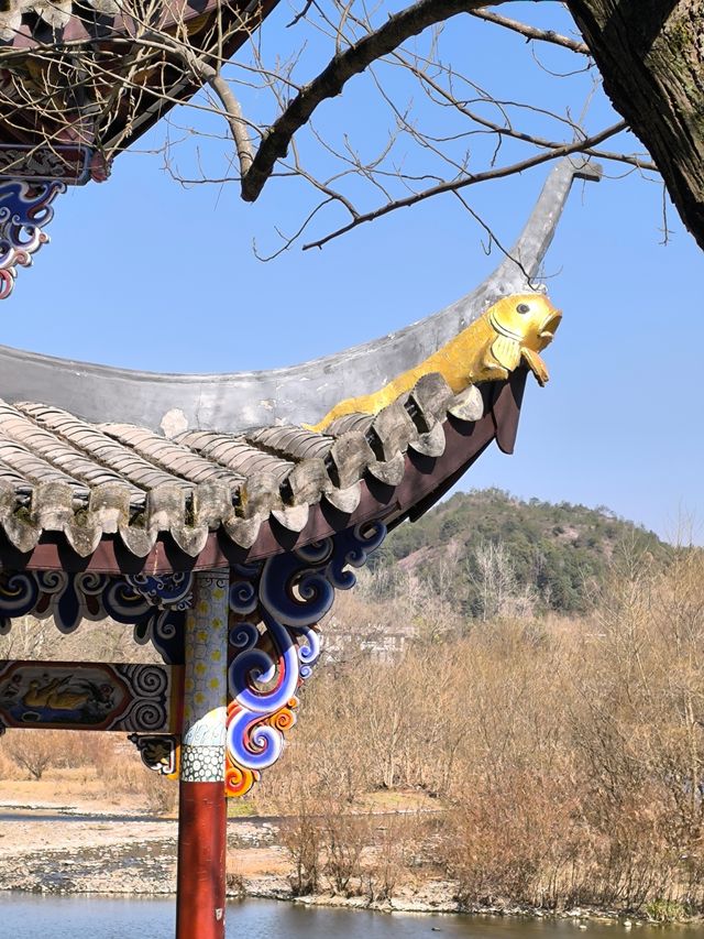 麗水三日行攝