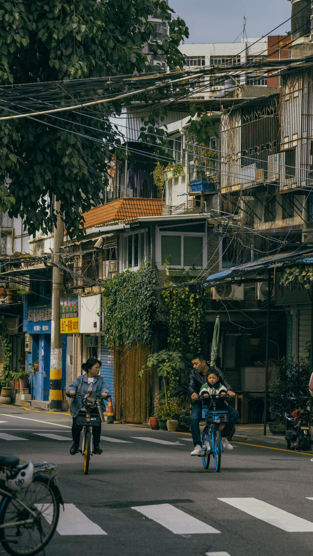 廈門華新路拍照打卡攻略！老街與藝術共存的街道