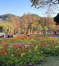 珠海都有夢幻莫奈花園，花開正盛