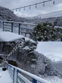 探索原州：韓國小眾旅遊的理想之選