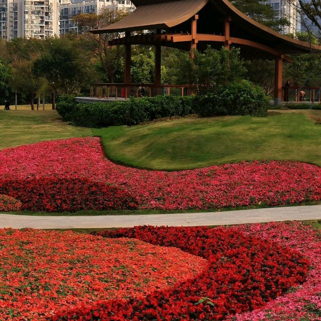 深圳打卡 | 邂逅彩色莫奈花園💐 桂灣公園