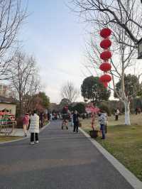 這裡的梅花開了，喊你來看，沒有喊你開車來看