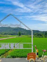 🐾珠海犬禾民宿 | 毛孩子嘅快樂老家🏡
