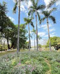 東湖公園純玩一天攻略來啦