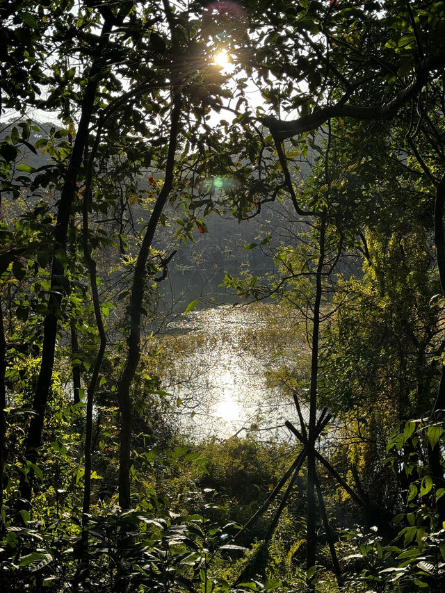📍深圳｜恩上濕地公園👉週末吸氧好去處