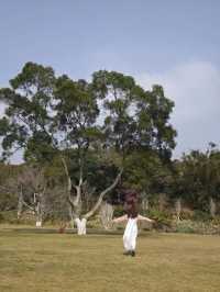 恩上濕地公園：期待與現實