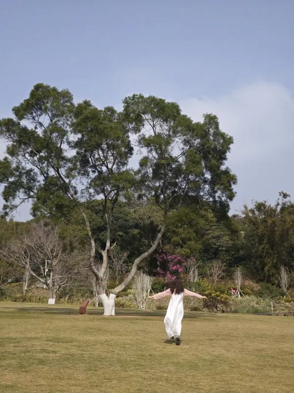 恩上濕地公園：期待與現實