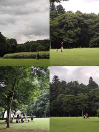 奔赴那須鹽原，邂逅一場湯泉綺夢