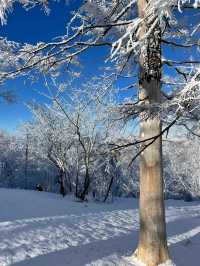 哈爾濱－雪鄉小長假遊玩攻略 誰能拒絕冬日童話的誘惑
