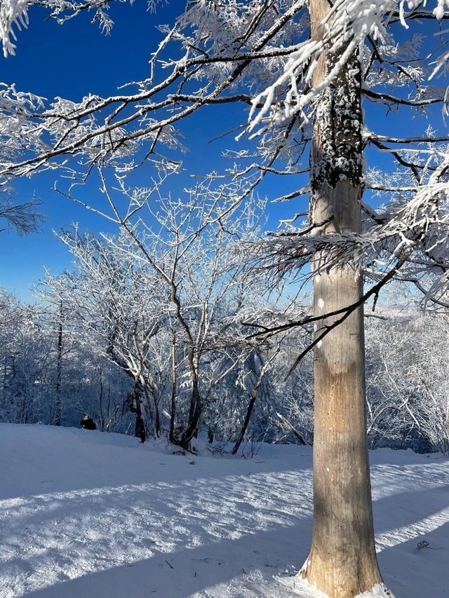 哈爾濱－雪鄉小長假遊玩攻略 誰能拒絕冬日童話的誘惑