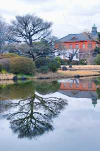 小石川植物園探秘｜未綻放，邂逅東京隱秘花園