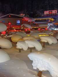 哈爾濱—雪鄉三日遊 玩轉冰雪奇景必收藏攻略