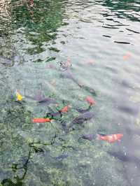 去感受一下老舍筆下的濟南吧