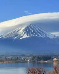 爆肝整理！日本賞櫻進階版超全攻略來啦