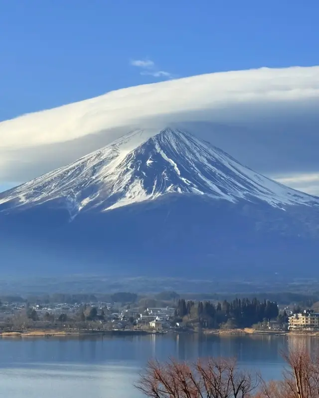 Get Ready for Cherry Blossom Season! The Ultimate Guide to Cherry Blossom Viewing in Japan