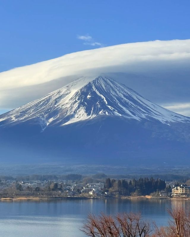 爆肝整理！日本賞櫻進階版超全攻略來啦