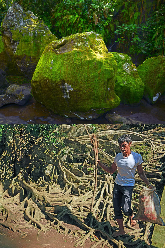 峇里島象窟秘境，青苔封印的千年禪房