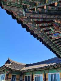 韓國5日遊 不踩坑攻略來啦