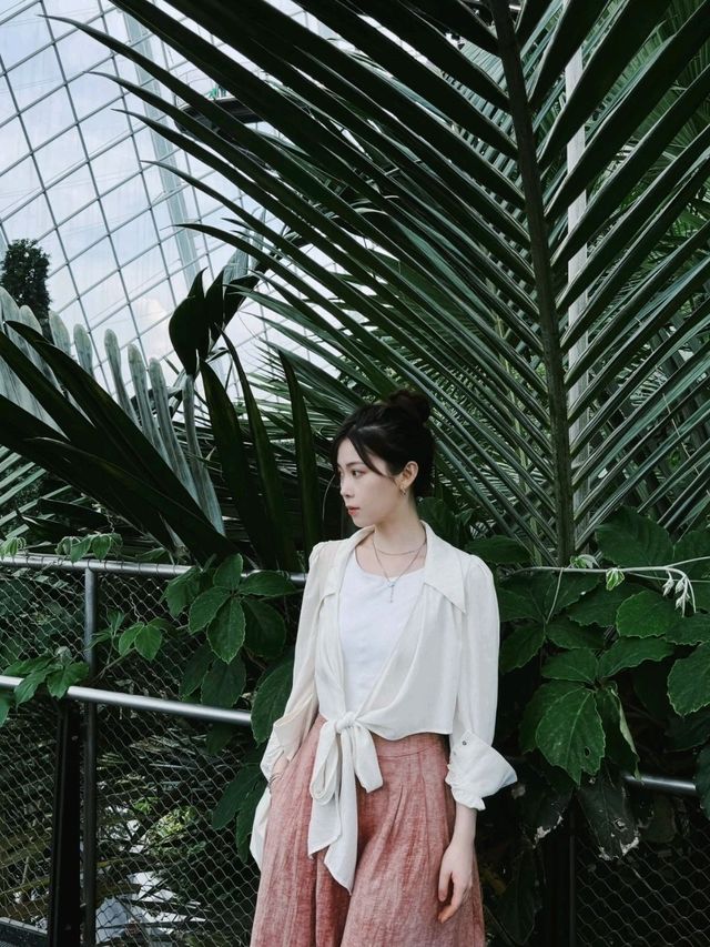 Fort Canning Tree in Singapore is a must visit destination😍🥰