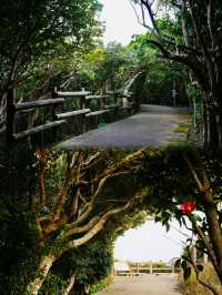 紀伊半島之旅｜周遊和歌山縣串本町