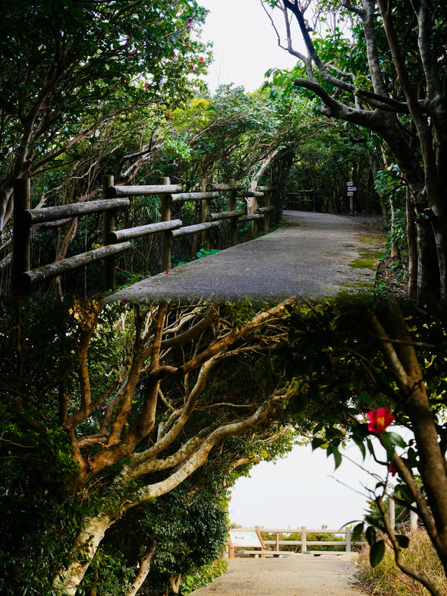 紀伊半島之旅｜周遊和歌山縣串本町