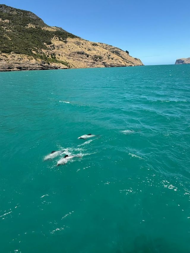 在阿卡羅阿，邂逅法式浪漫與自然野趣