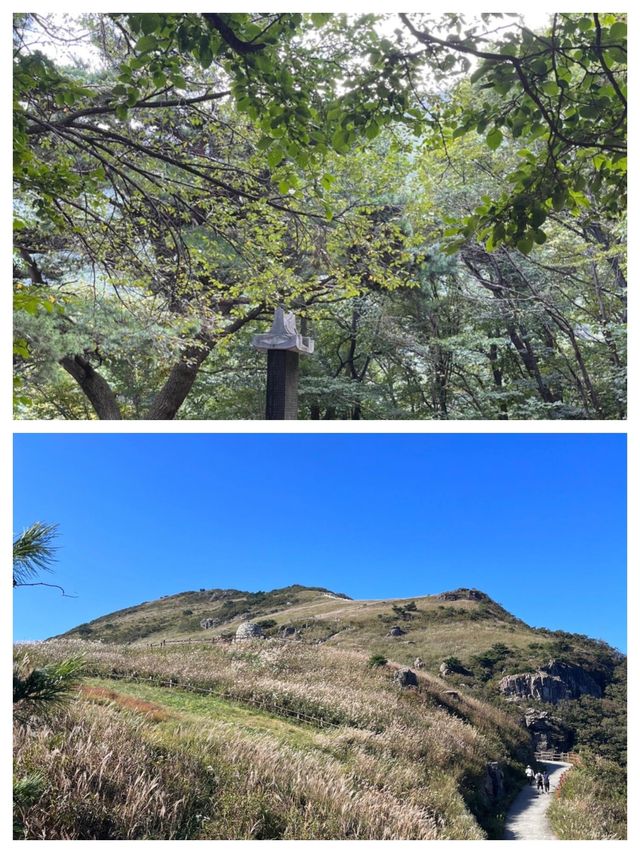解鎖韓國隱世桃源蔚山，比首爾更懂生活美學的寶藏小城】