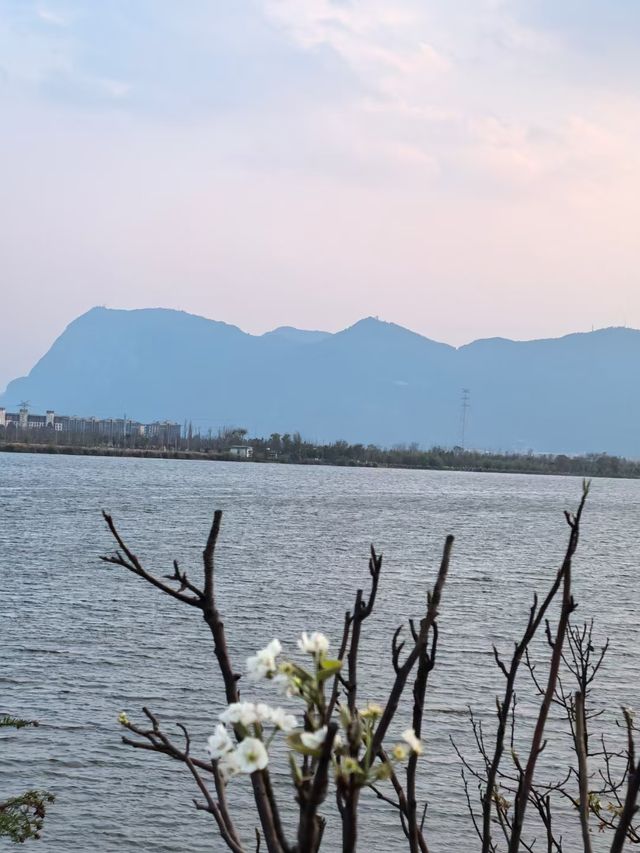 昆明滇池綠道：徒步與觀景的完美結合
