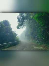昌江小眾景點霸王嶺雨林秘境中的浪漫