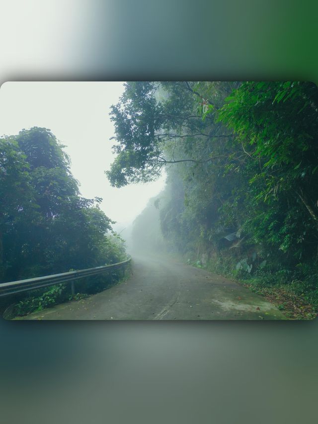 昌江小眾景點霸王嶺雨林秘境中的浪漫