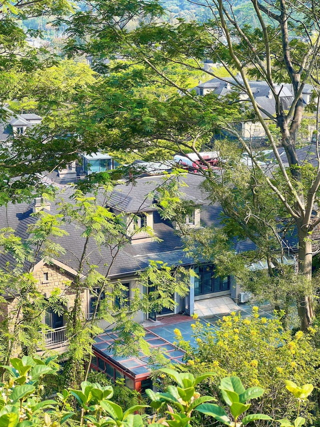 深圳玉龍公園：都市中的靜謐桃源