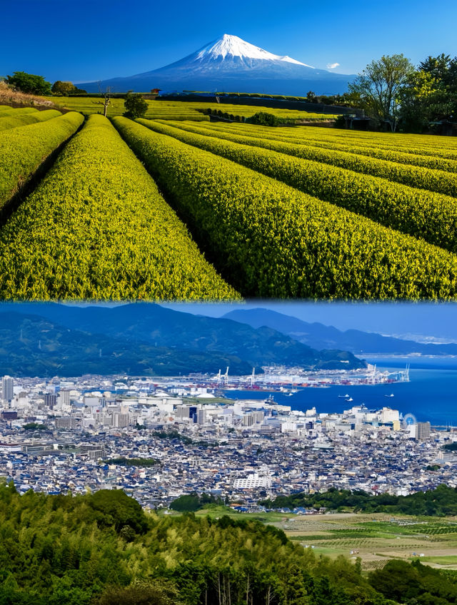 靜岡/四天三夜精華版旅遊攻略
