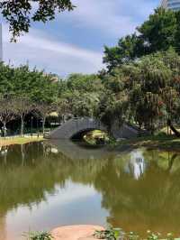 🌳深圳新安公園：鬧市中的靜謐綠洲