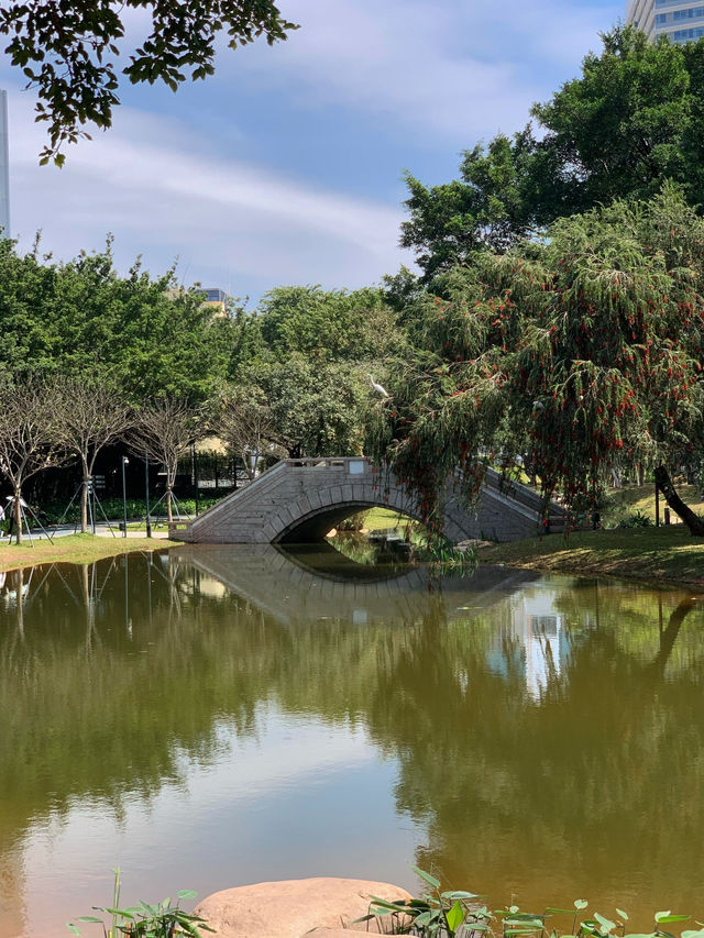 🌳深圳新安公園：鬧市中的靜謐綠洲