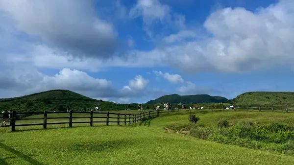 來台北一定要來陽明山擎天崗 🌄