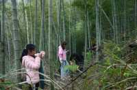 長沙週末出逃計劃|躲入竹林深處深呼吸