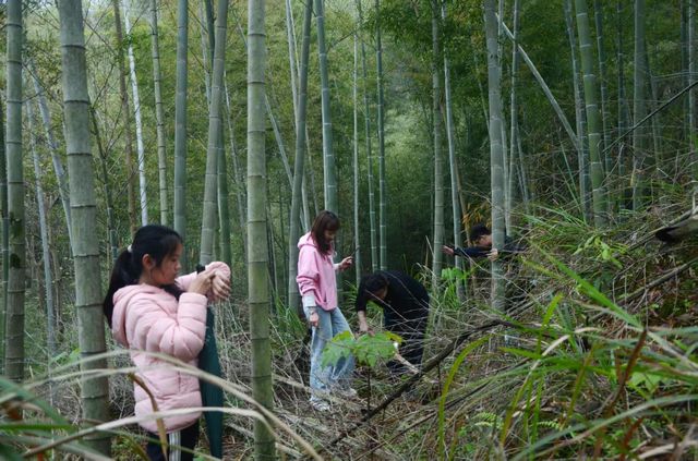 長沙週末出逃計劃|躲入竹林深處深呼吸