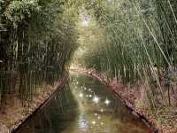 Purple Bamboo Park in Beijing: Pure Tranquility Hideout