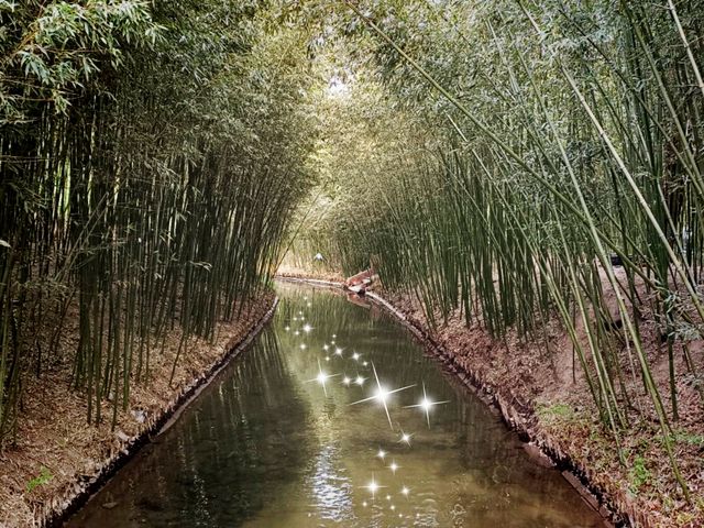 Purple Bamboo Park in Beijing: Pure Tranquility Hideout