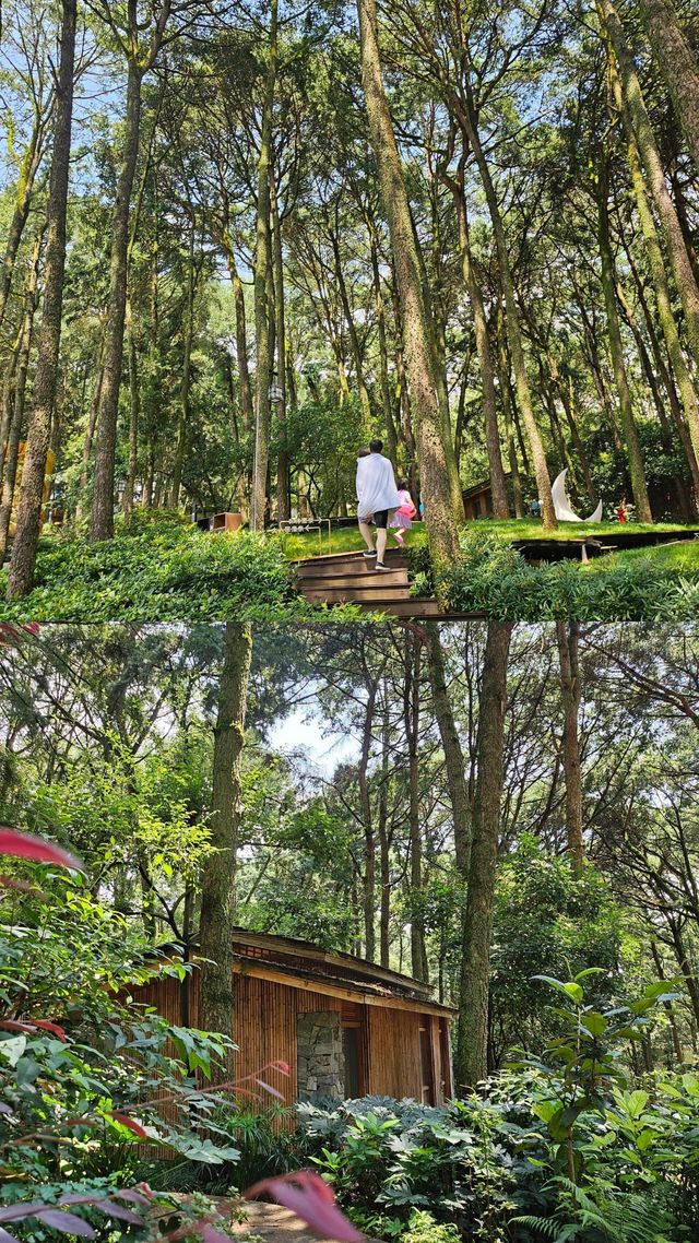 昆明水質非常乾淨嘅溫泉 Spa 溫泉山谷