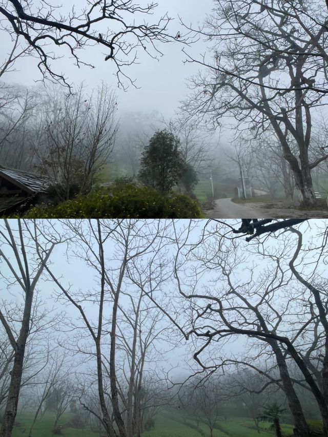 探索雲南古墨村，千年墨香飄四方