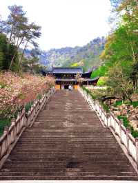 終於弄清楚建德怎麼玩
