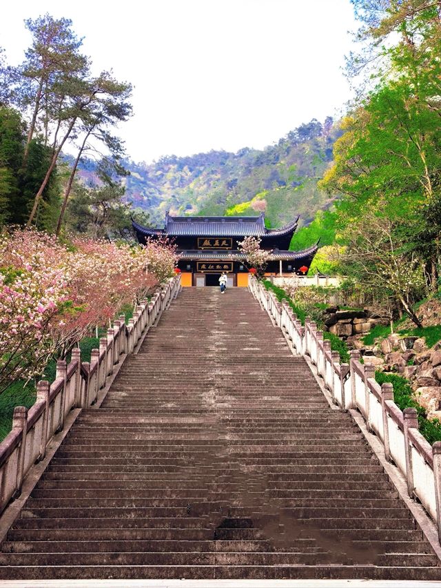終於弄清楚建德怎麼玩