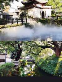 不在貴州在浙江雲海梯田直接美到封神