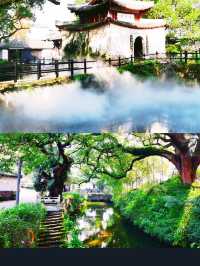 不在貴州在浙江雲海梯田直接美到封神