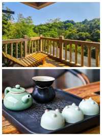 現實版綠野仙蹤與500種蘭花共眠的療癒之旅